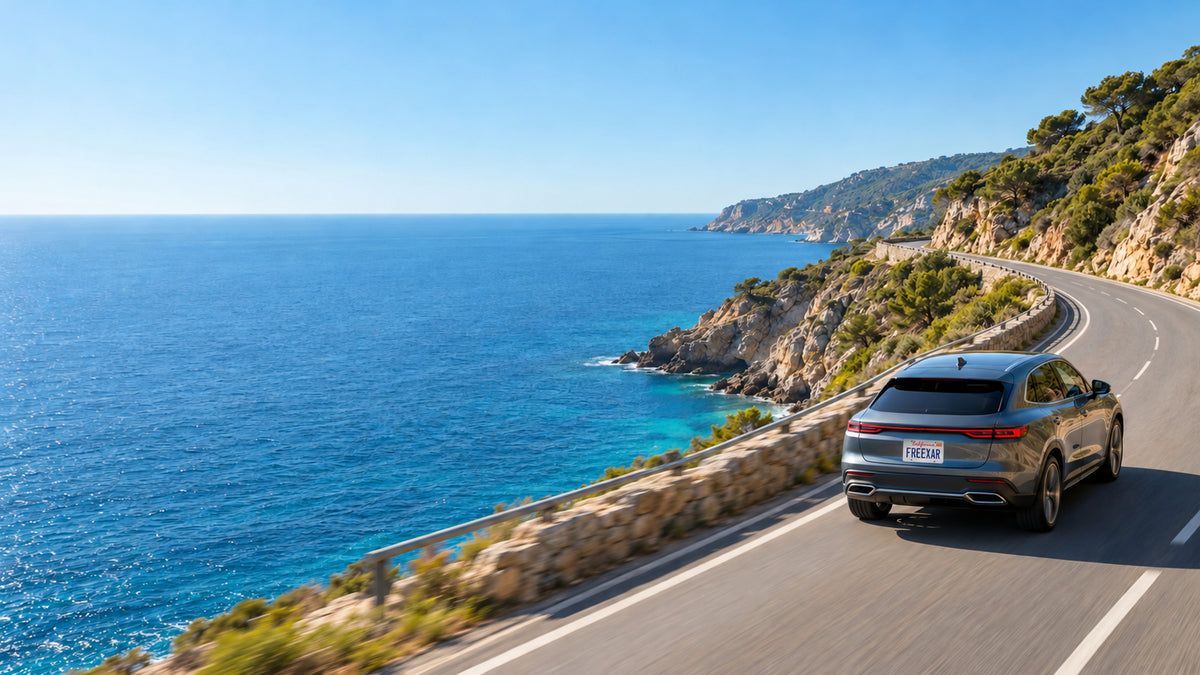 Gray SUV with a FREEXAR license plate driving along a sunny coastal road beside the ocean.